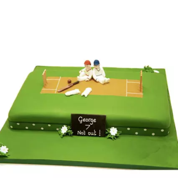 Customized Cricket Pitch Cake