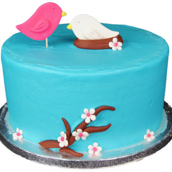 Bird Nest Fondant Cake