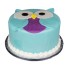 Owl Fondant Cake