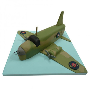 Green Airplane Fondant Cake Green Airplane Fondant Cake
