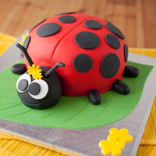 Ladybird Bug Fondant Cake Delivery in Gurugram