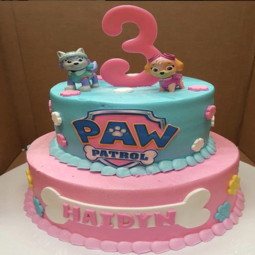 2 Tier Paw Patrol Fondant Cake Delivery in Gurugram
