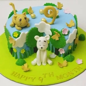 Happy 9 Month Theme Fondant Cake in Gurgaon